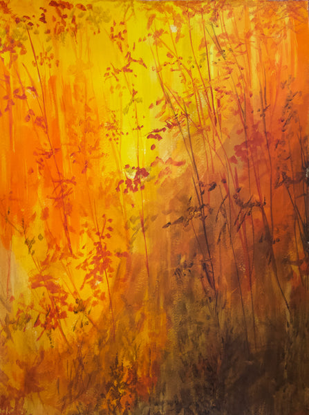 Forest Fire